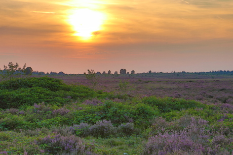 Zonsondergang op de hei