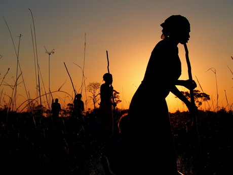 Okavango sunset 3.jpg