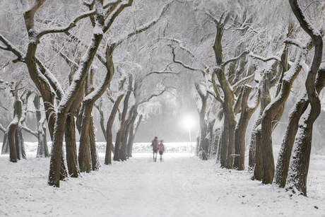 Winterse avondwandeling