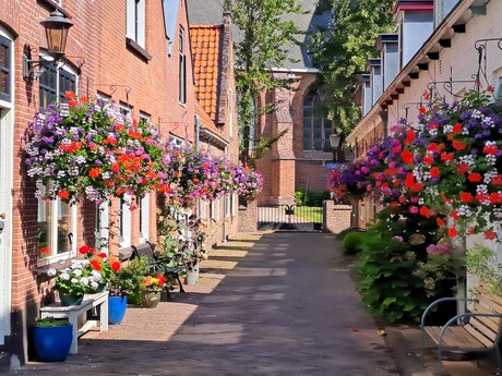 20240806  113615 Naaldwijk  Kerklaan   Bloemenstraatje  op  6 aug 2024  
