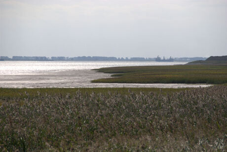 dijk aan de schelde by rilland bath