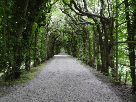 Gang van moeder natuur