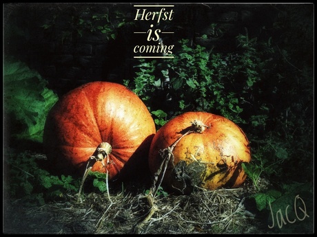 Herfst is coming