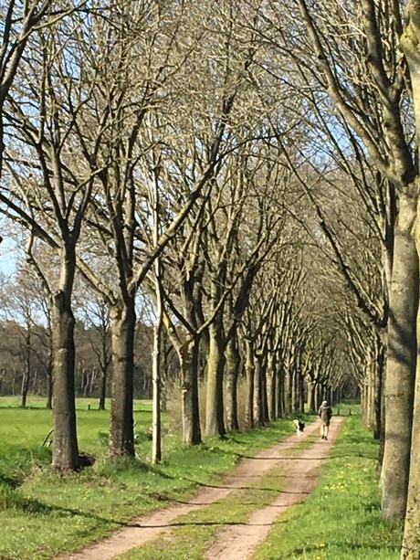 Aanlijnen