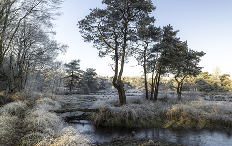 Winter in Nederland