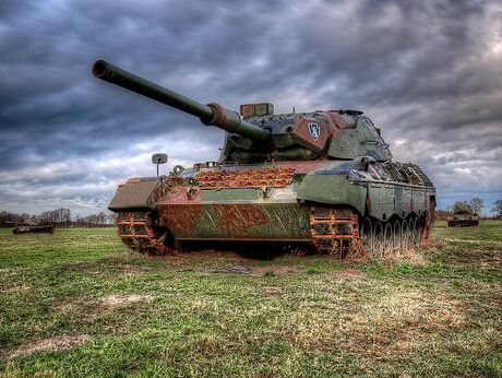 Leopard-1_2.