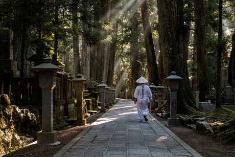 Begraafplaats Koyasan Japan