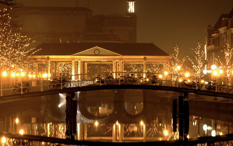 nieuwe rijn by night2