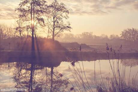 Misty morning sunrise