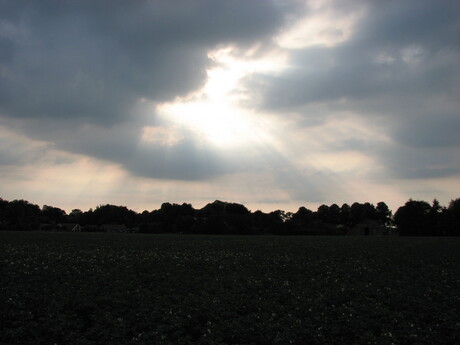 Avondlucht bellingwolde