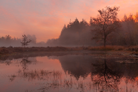 Mist bij zonsopkomst