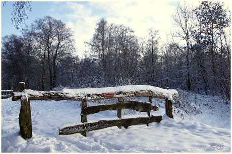 Winter 2010