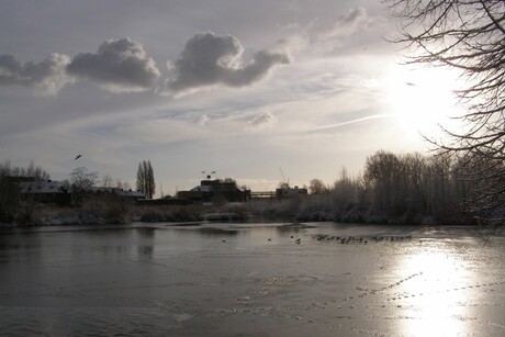 WINTER 24-12-2010 IN SCHIEDAM
