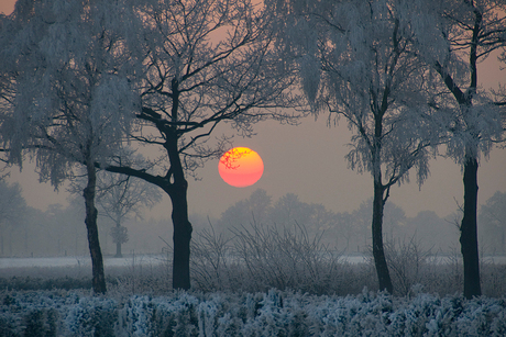 zon en sneeuw