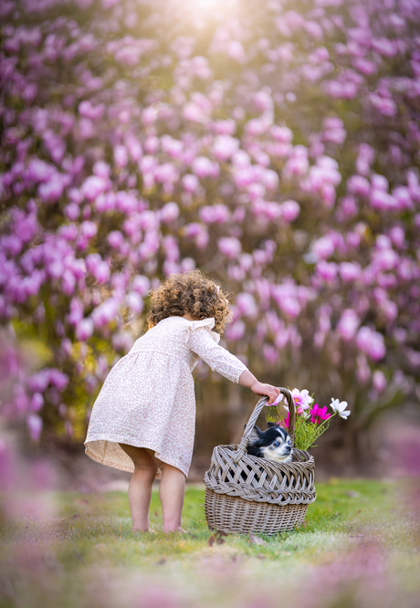 Het bloemenmeisje