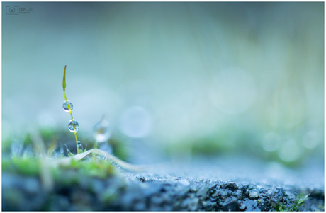 Mijn favoriete kleuren