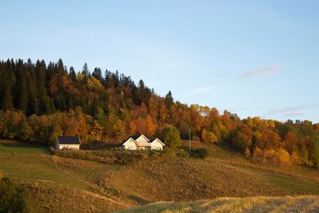 Trondheim in de herfst