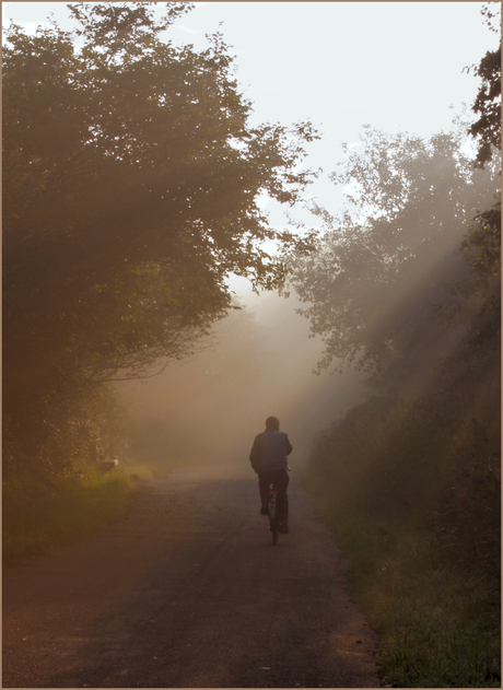 fietsen in de mist