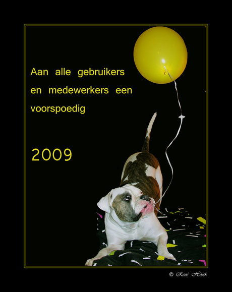 een gelukkig 2009