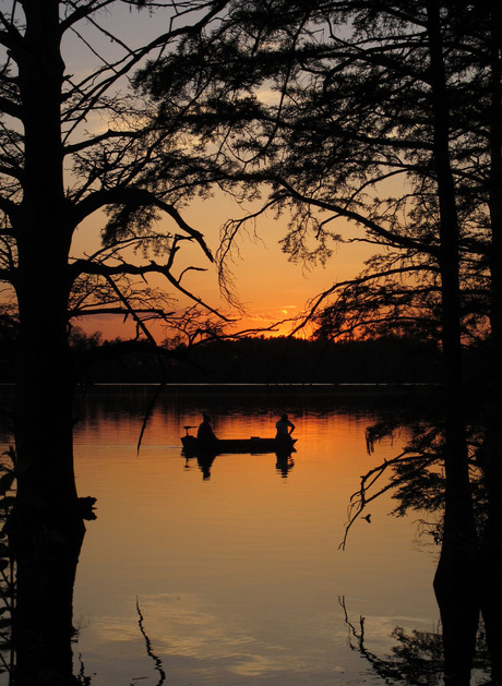 Vissen bij zonsondergang, Horseshoe Lake, Illinios