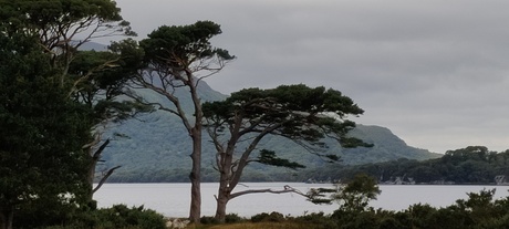 Killarney National Park