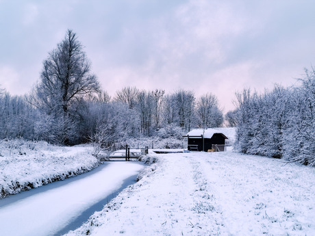 Sneeuw landschap 