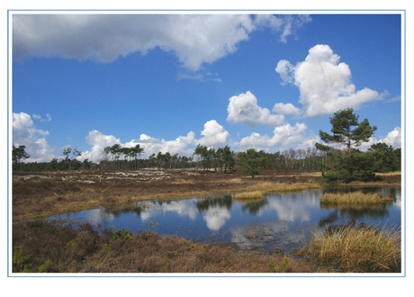 Veluwe 5