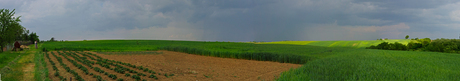 panorama landschap