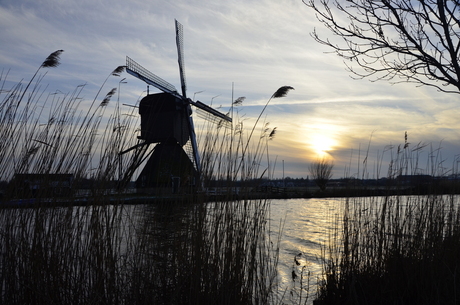 Molens in Kinderdijk