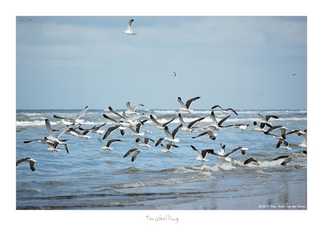 Terschelling