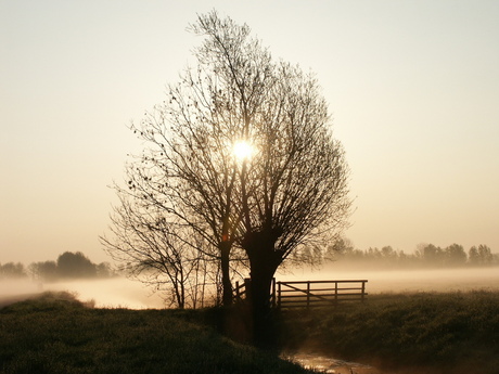 vroeg in de morgen