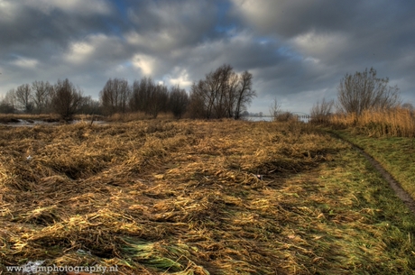 IJssel Uiterwaarden