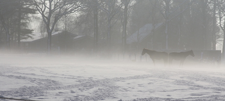 winter in Drunen 1