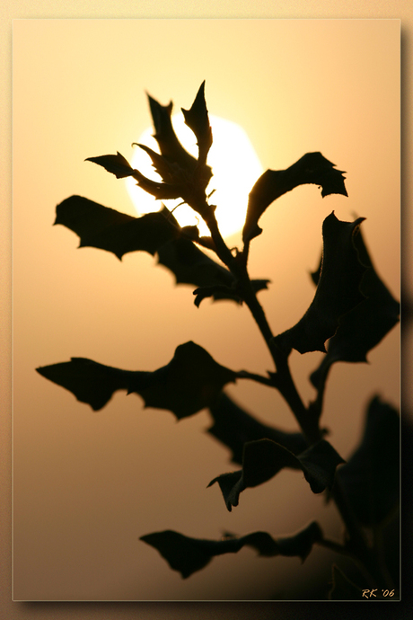 Vendee Sunset 2006