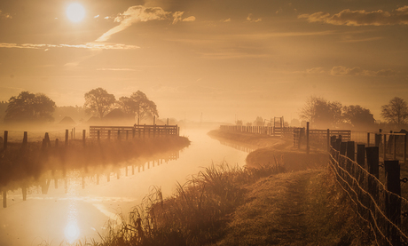 Dutch Dawn