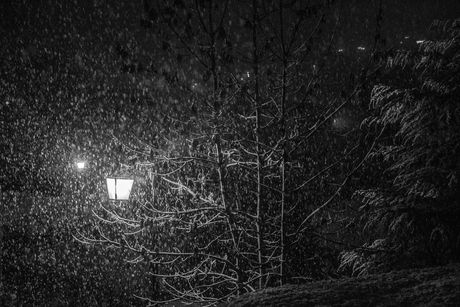 Zwart wit van sneeuwval bij nacht