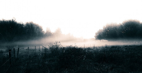 Goede morgen Limburg