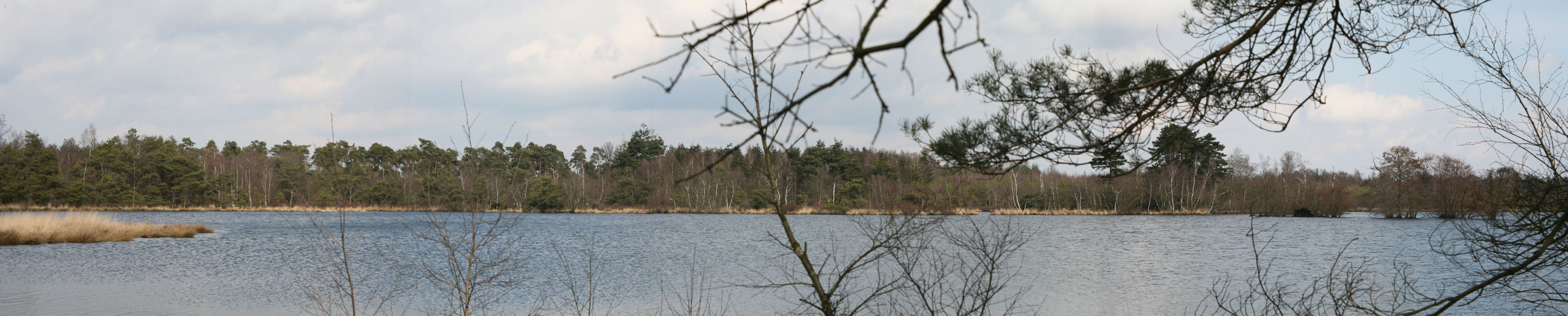 B-r-e-e-d-b-e-e-l-d - Aan elkaar geplakt foto's van natuurgebied de Flaas in Brabant - foto door Harold 5D op 13-05-2006 - deze foto bevat: natuur