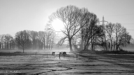 Winterlandschap Deurningen