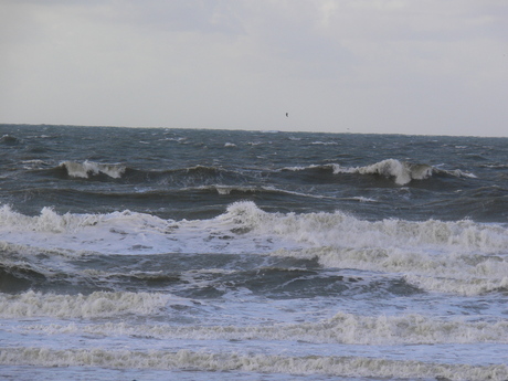 Strand Scheveningen