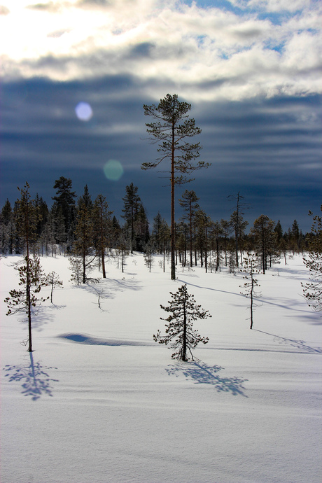 Lapland