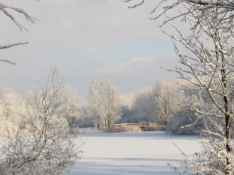 Naturpark Lelystad