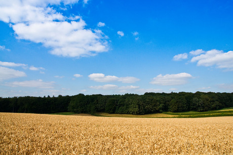 Omgeving Berg en Dal