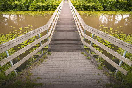 Voetgangersbrug