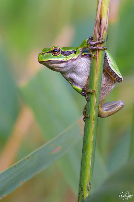 Genieten van de Ochtendzon