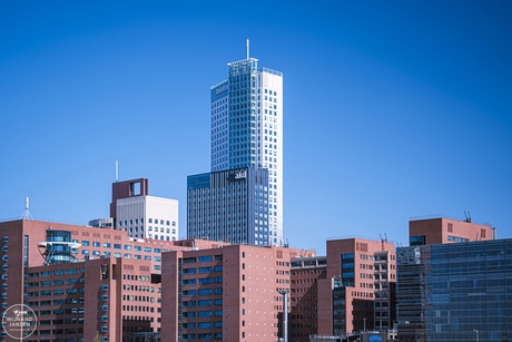 A piece of the skyline