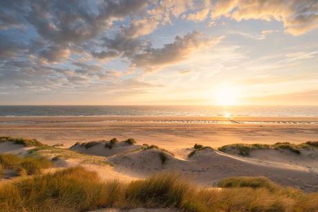 Golden sunset 