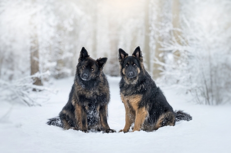 Bowie met haar moeder Joy in de sneeuw
