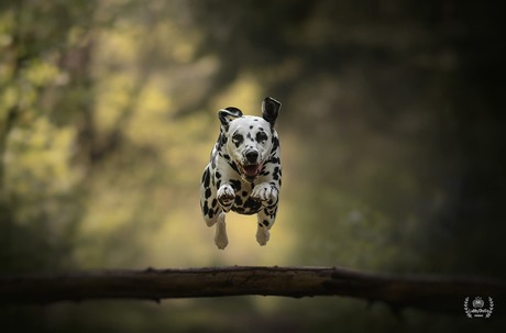 Jump