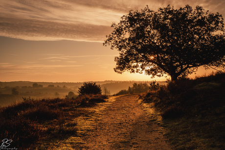 Prachtige zonsopkomst bij de Posbank 